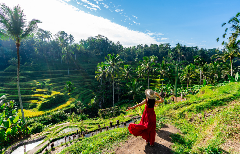 Tegallalang Rice Terraces in Ubud  Tegallalang Rice Terraces in Ubud