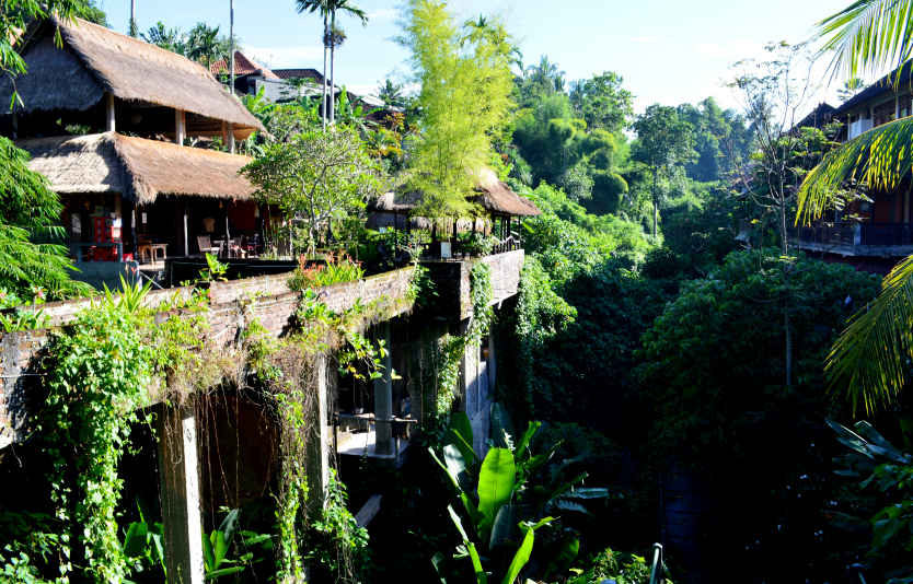 Ayung Terrace - Ubud