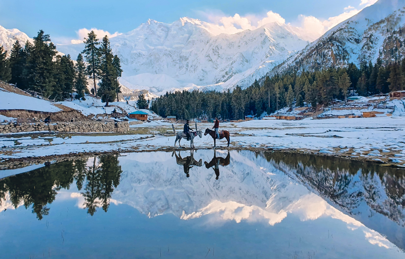 Fairy Meadows