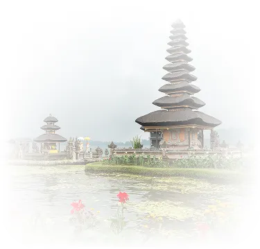 Indonesia eVisa Services