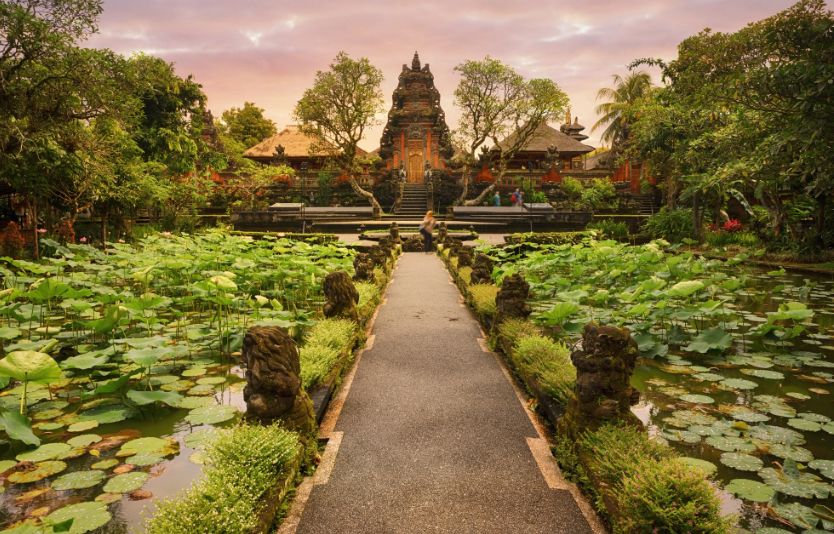 Indian travelers can choose what services they want to process their visa
