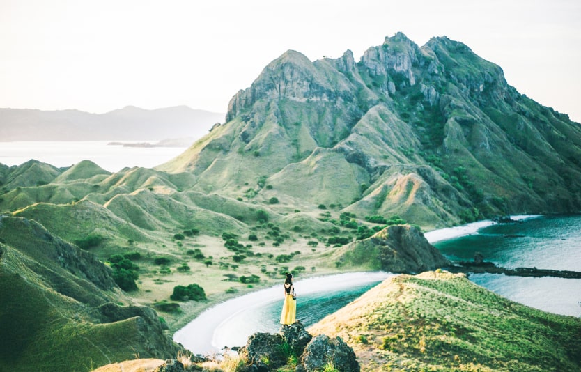 Indonesia electronic visas can be granted to Danish citizens online