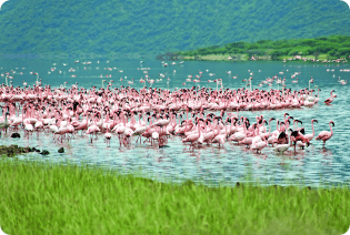 Travel Gallery to Kenya Travel Gallery to Kenya