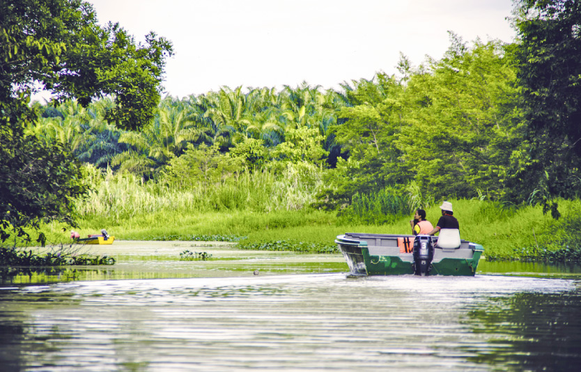 Kinabatangan River Kinabatangan River