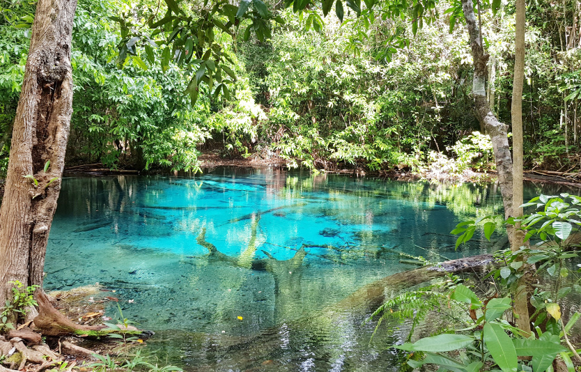 Lake Gardens - Tranquil Green Oasis
