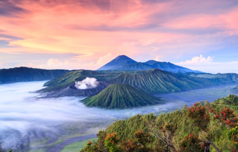 4 steps to apply for an Indonesian e-Visa