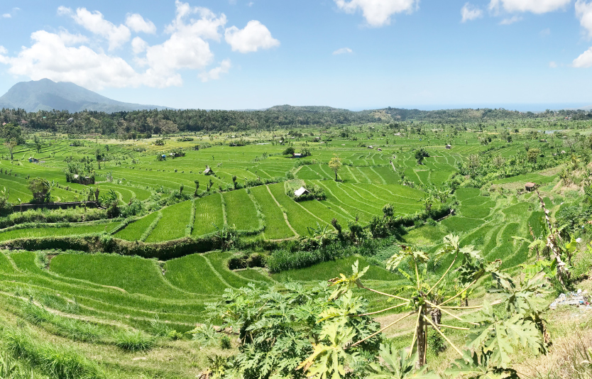 Mount Lempuyang, East Bali