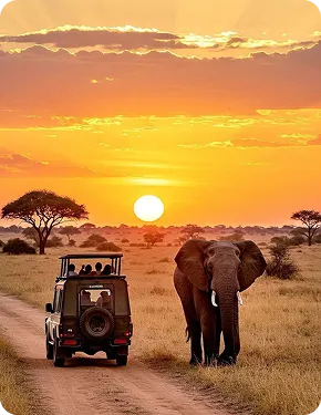 Phnom Penh - Capital City