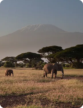 Battambang - Riverside Charm