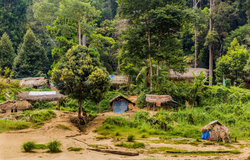 One of the world's oldest rainforests – Taman Negara
