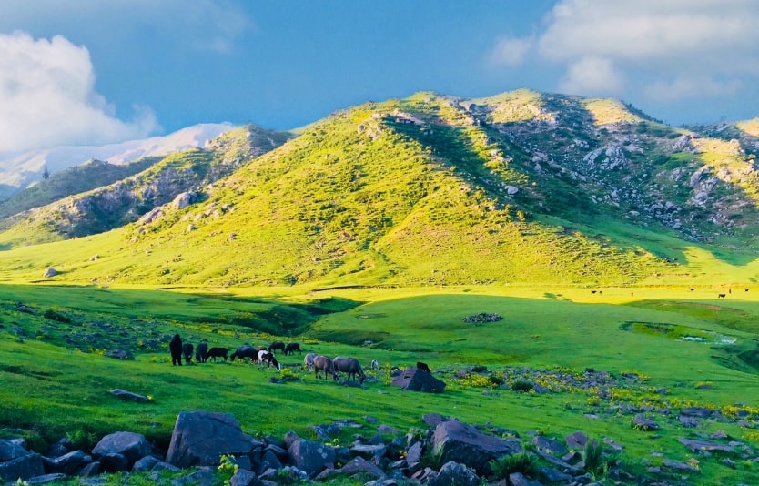 Pakistan e-Visa for Jordan Citizens Pakistan e-Visa for Jordan Citizens
