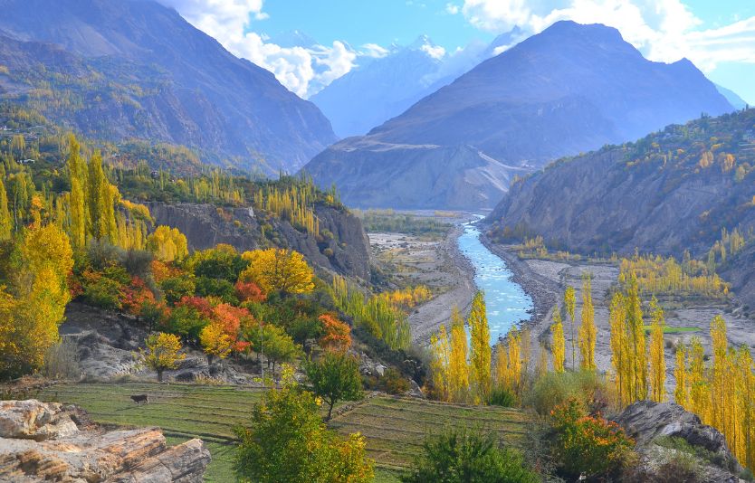 Pakistan eVisa for Algerian citizens