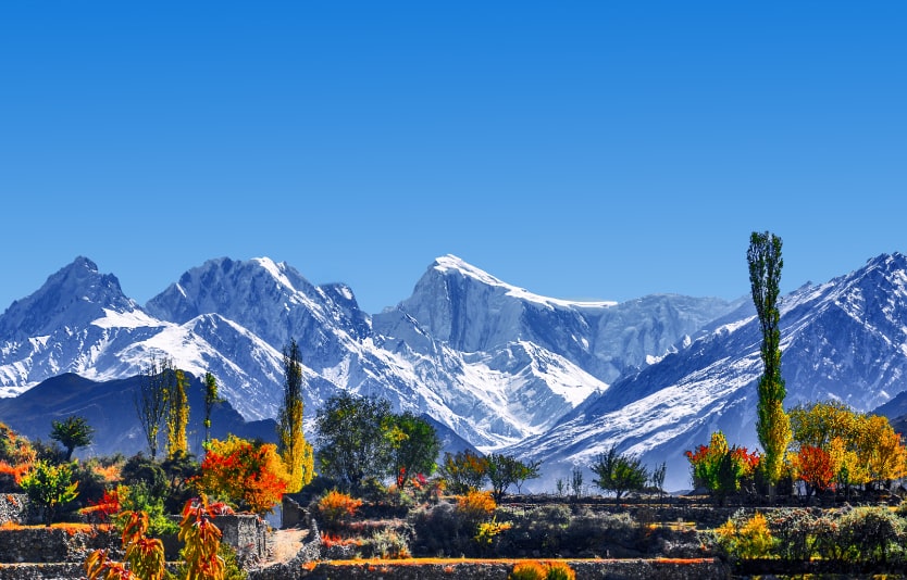 Pakistan offers two types of eVisas for travelers