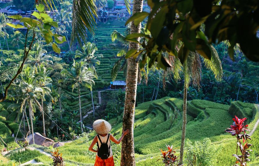 Prepare enough documents required to be eligible for an Indonesia visa