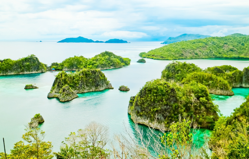 Raja Ampat Trip - Indonesia's Marine Paradise