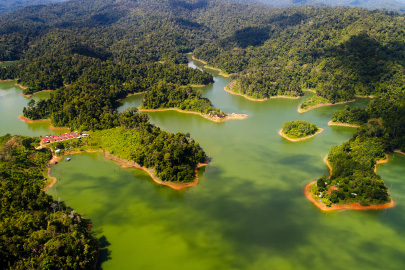 Royal Belum Rainforest: Hornbill Heaven and Houseboat Escapes