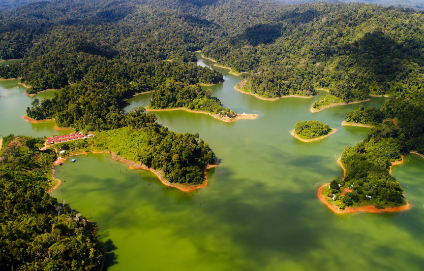 Royal Belum Rainforest