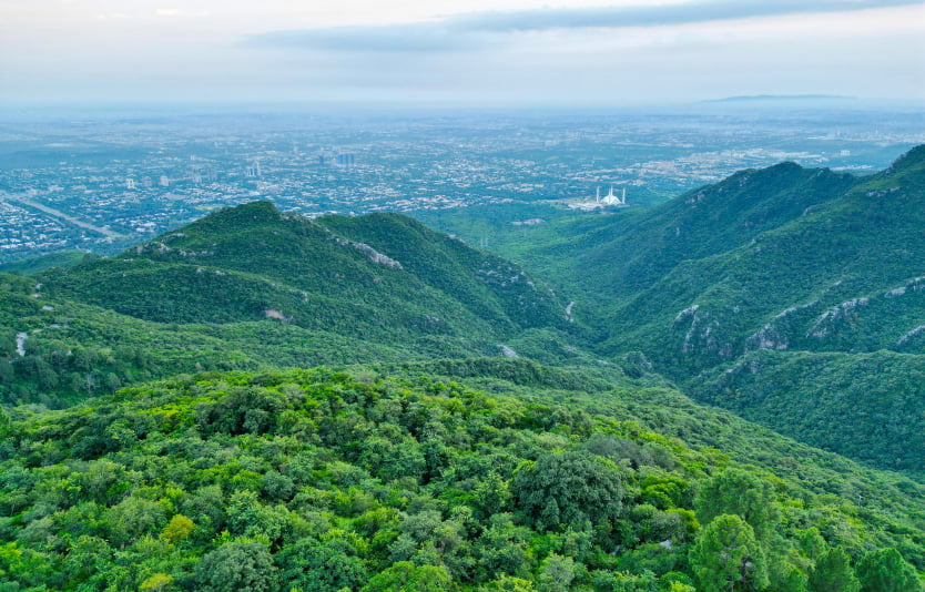 Shahdara Valley - Photography and Nature Watching