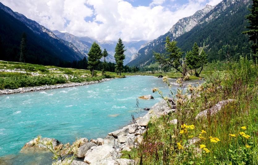 Simple steps to apply for Pakistan visa