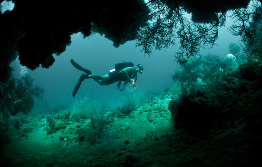 Snorkeling and Diving - Activities on Your Raja Ampat Trip