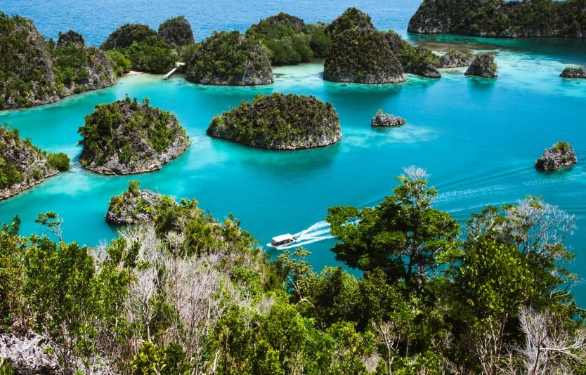 South Korean tourists are free to choose the services they want to use to get their visa.