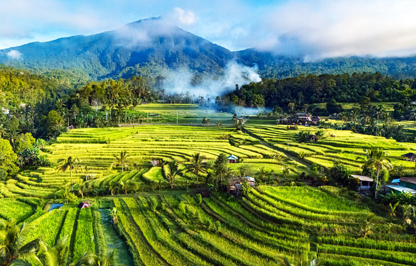 Spanish citizens can conveniently obtain their Indonesian visas online