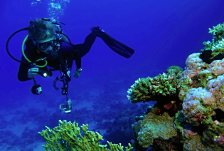 Travel Gallery to Tanzania Travel Gallery to Tanzania