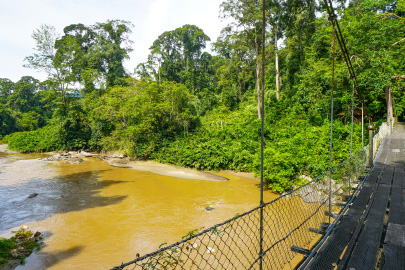 Danum Valley Field Centre: Immersive Borneo Jungle Stay