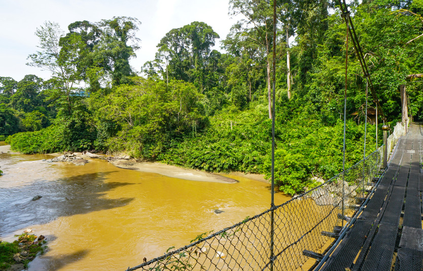 The Danum Valley Field Centre