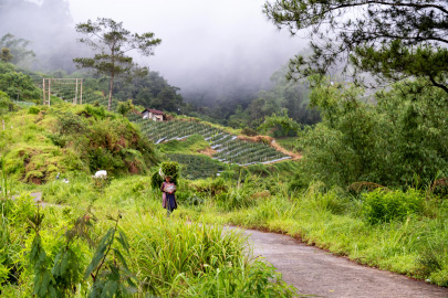 Bukittinggi Slow Guide: Clock Tower Lanes, Canyon Views, and Local Cafes