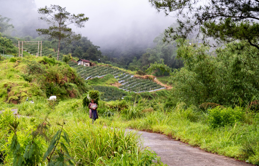 The highlands of West Sumatra, Bukittinggi