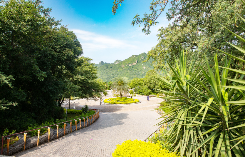 Daman-e-Koh