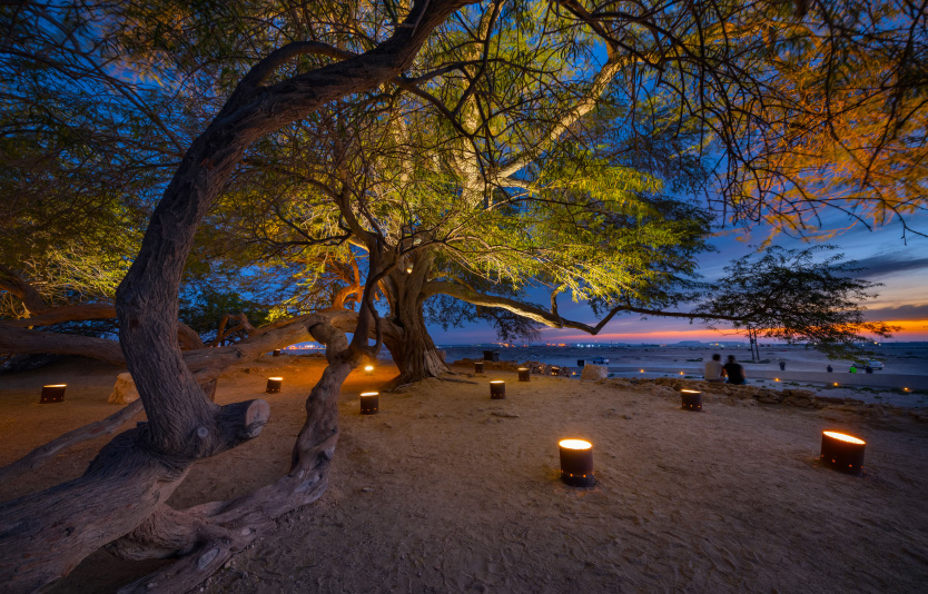 The soft sand beaches surrounding the Tree of Life