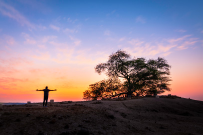 Tree of Life Sunrise Session: Routes, Soft Sand, and Safety