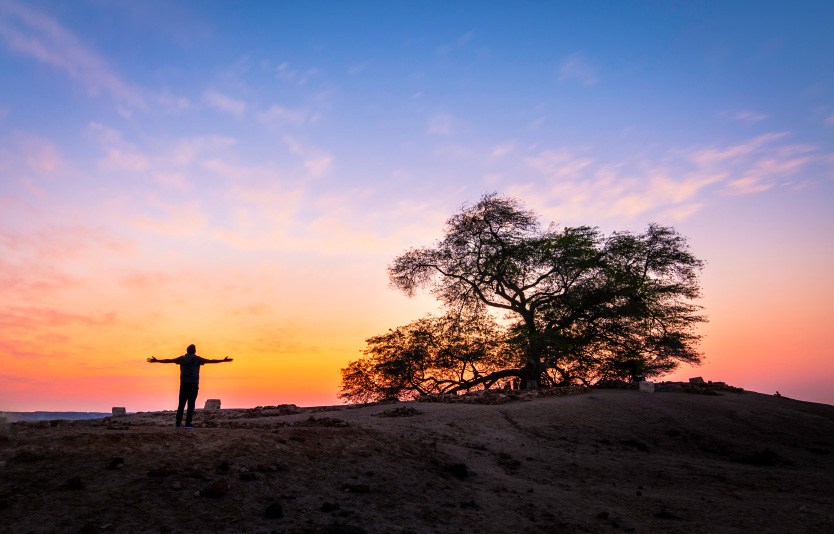 The Tree of Life provide multiple perspectives for sunrise viewing