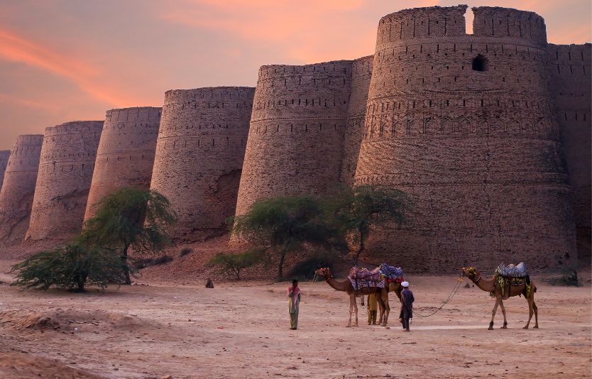 Types of Pakistan e-Visas for Botswana citizens Types of Pakistan e-Visas for Botswana citizens