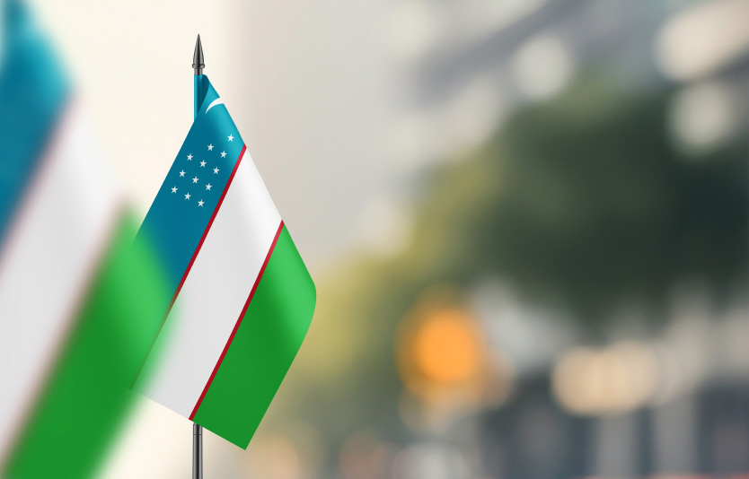 Uzbekistan Country Flag