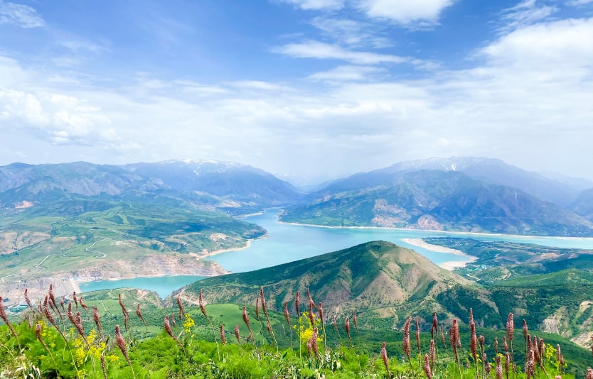 Uzbekistan visa for Palauan citizens Uzbekistan visa for Palauan citizens