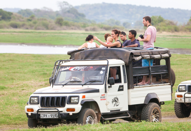 Safari Game Drive in South Luangwa National Park