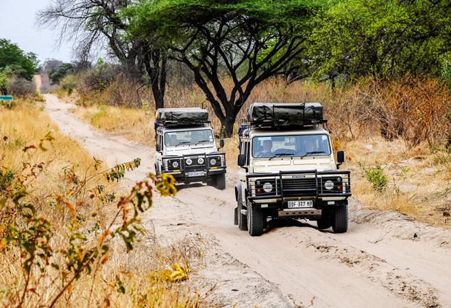 Game Drive in Chobe National Park