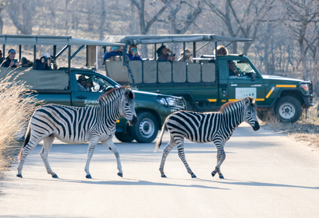 Local Attractions Near Pinnon Lodge Zambia