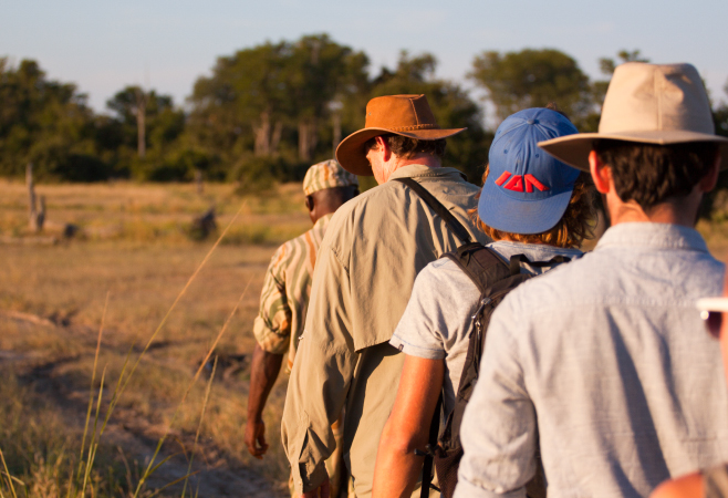 Walking Safari in Lower Zambezi National Park