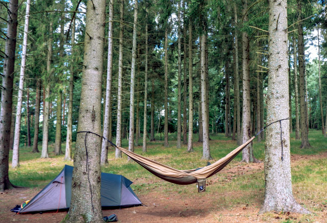 A cozy camping setup with a hammock and tent