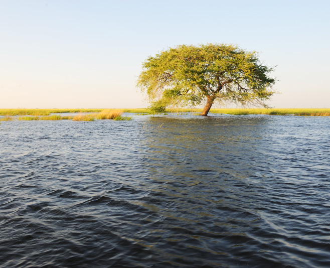 Barotse flood plains in the Zambezi River over the brim