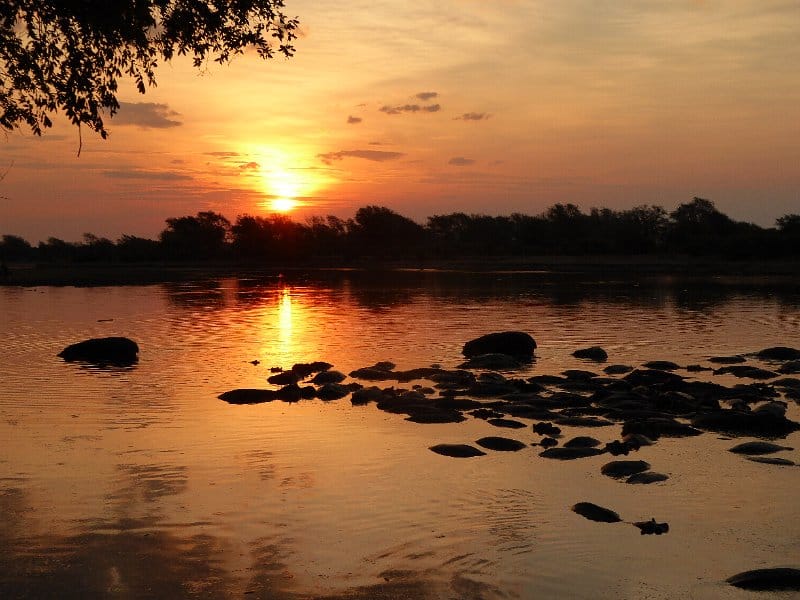 Birdsong, hippos and wild silence - only in Luambe National Park